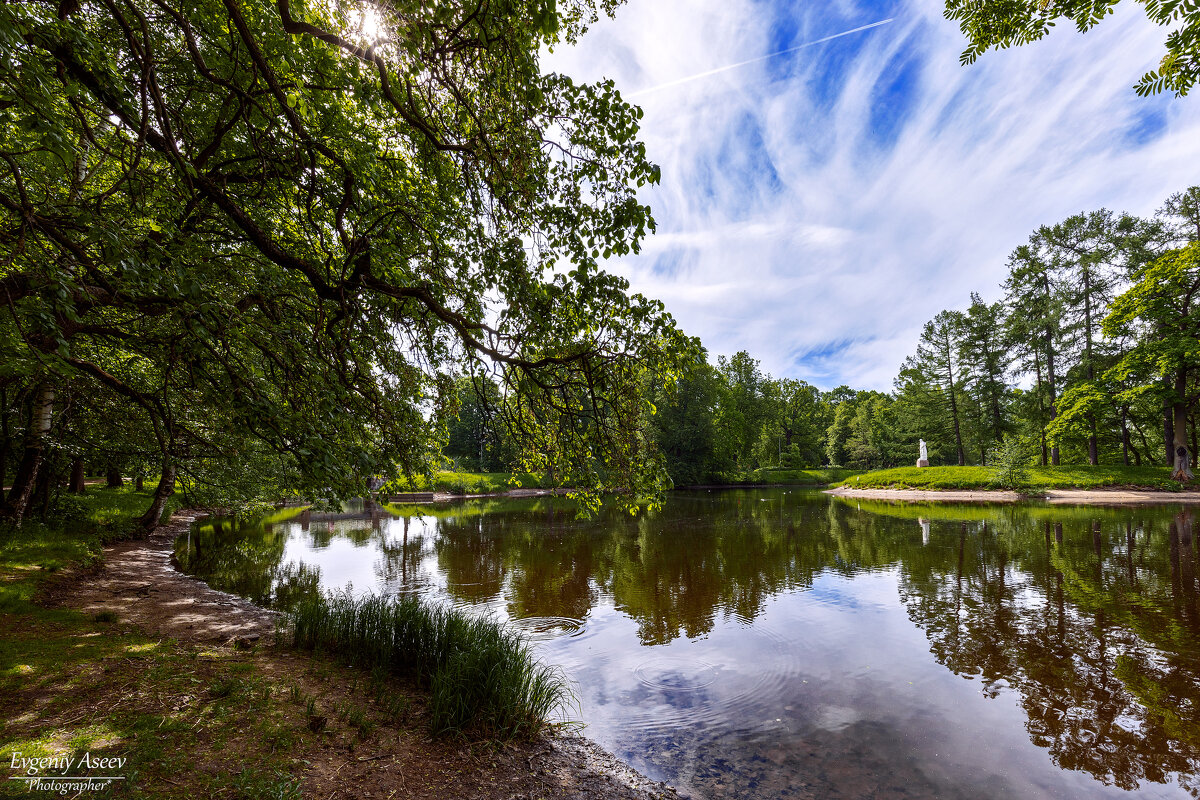 А впереди еще целое лето! - Евгений 