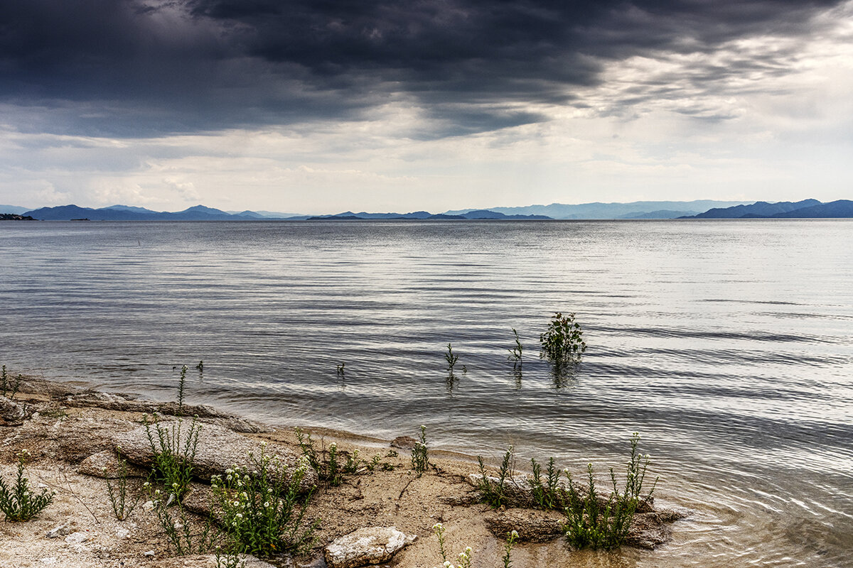 Союз - Дмитрий 