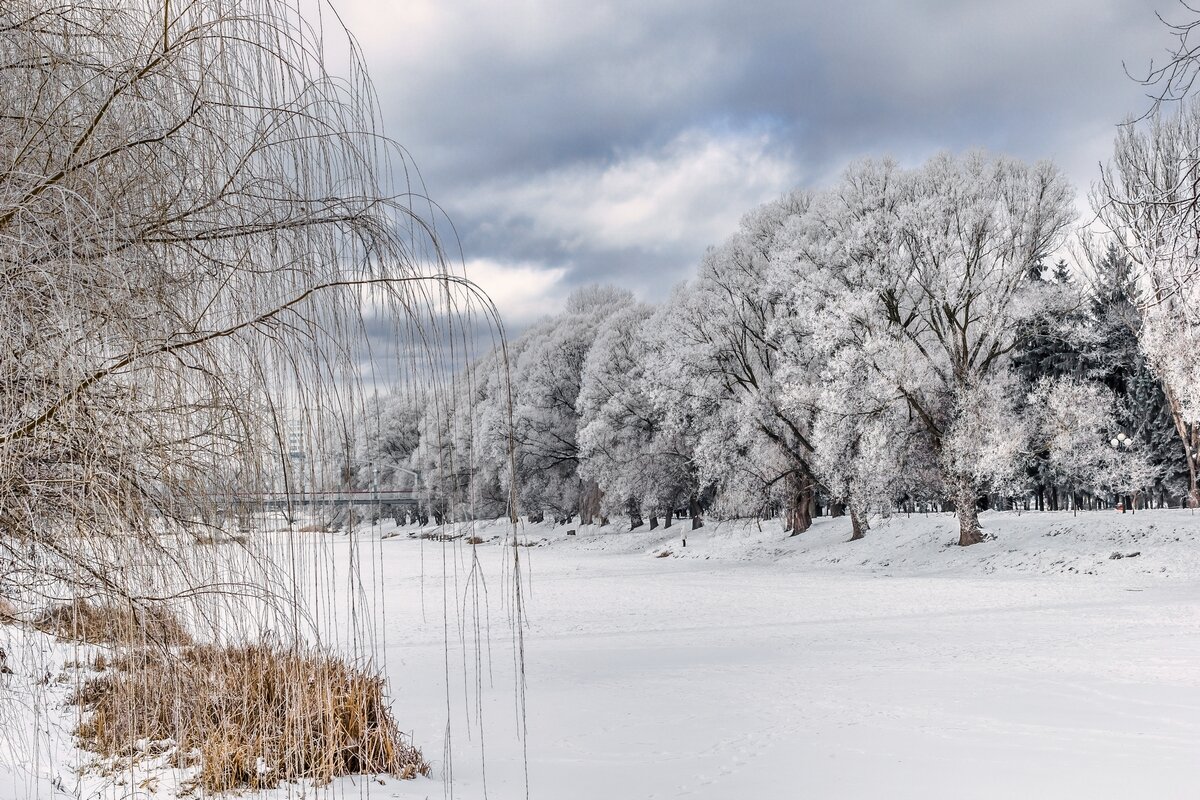 Этюд в белых тонах - Ravile 