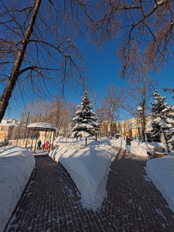 В парке. - Лютый Дровосек