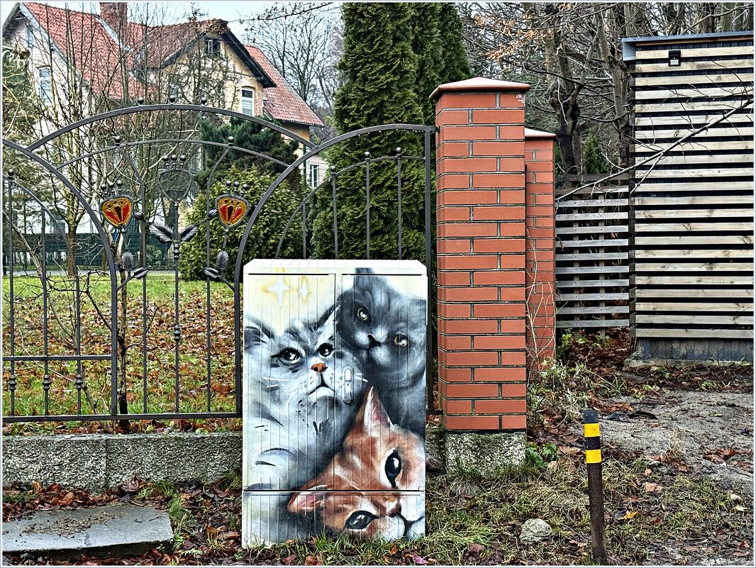 В городе котов и кошек. - Валерия Комова