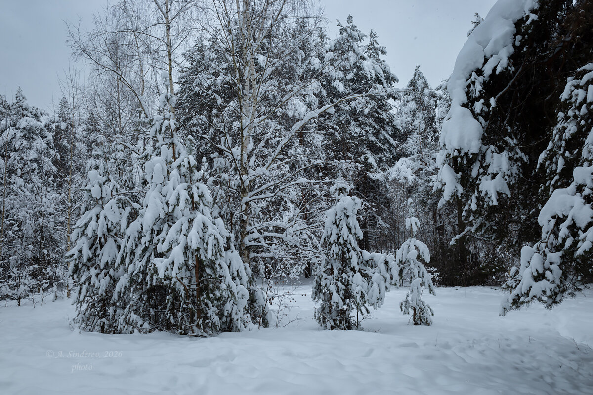 Зимний пейзаж - Александр Синдерёв