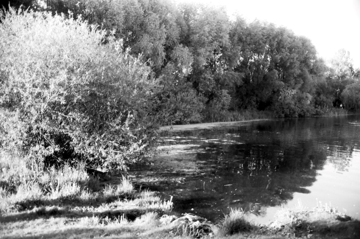 Тишина - Дмитрий Шароватов