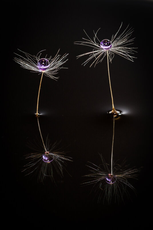 Диалог - Игорь Шевченко