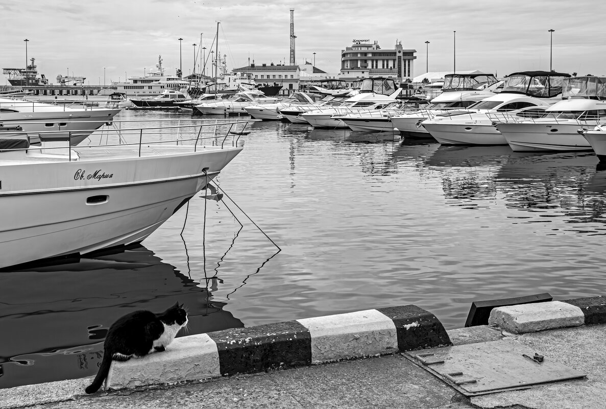 Портовые будни - Eugene *