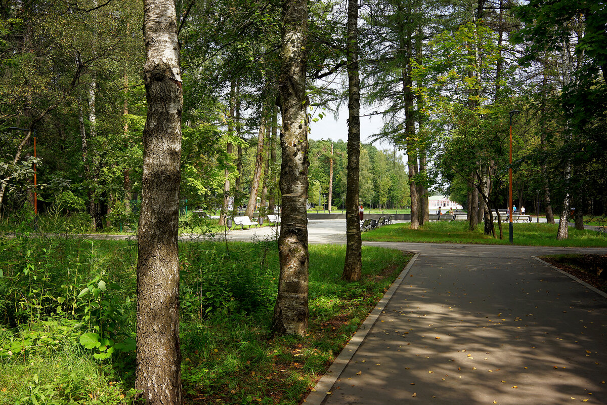 Кусково - Игорь Белоногов