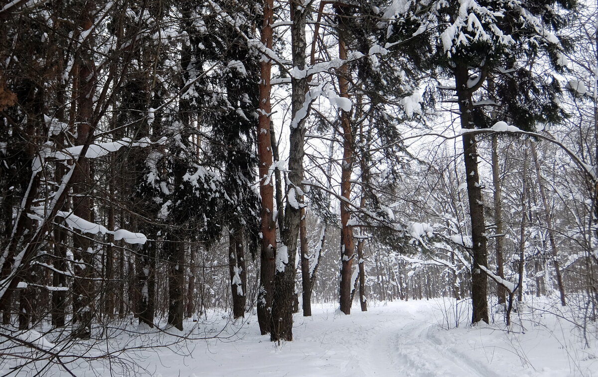 Идём дышать кислородом! - Люба 