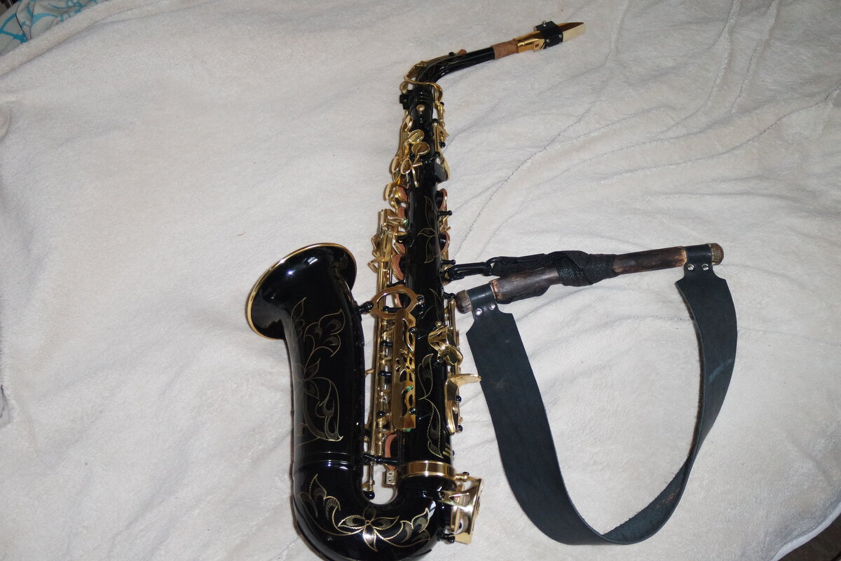 Мой первый саксофон... - Михаил Елочкин