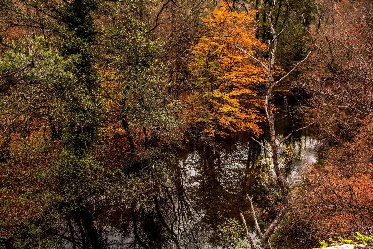Чернореченский каньон. - Сергей Воротников