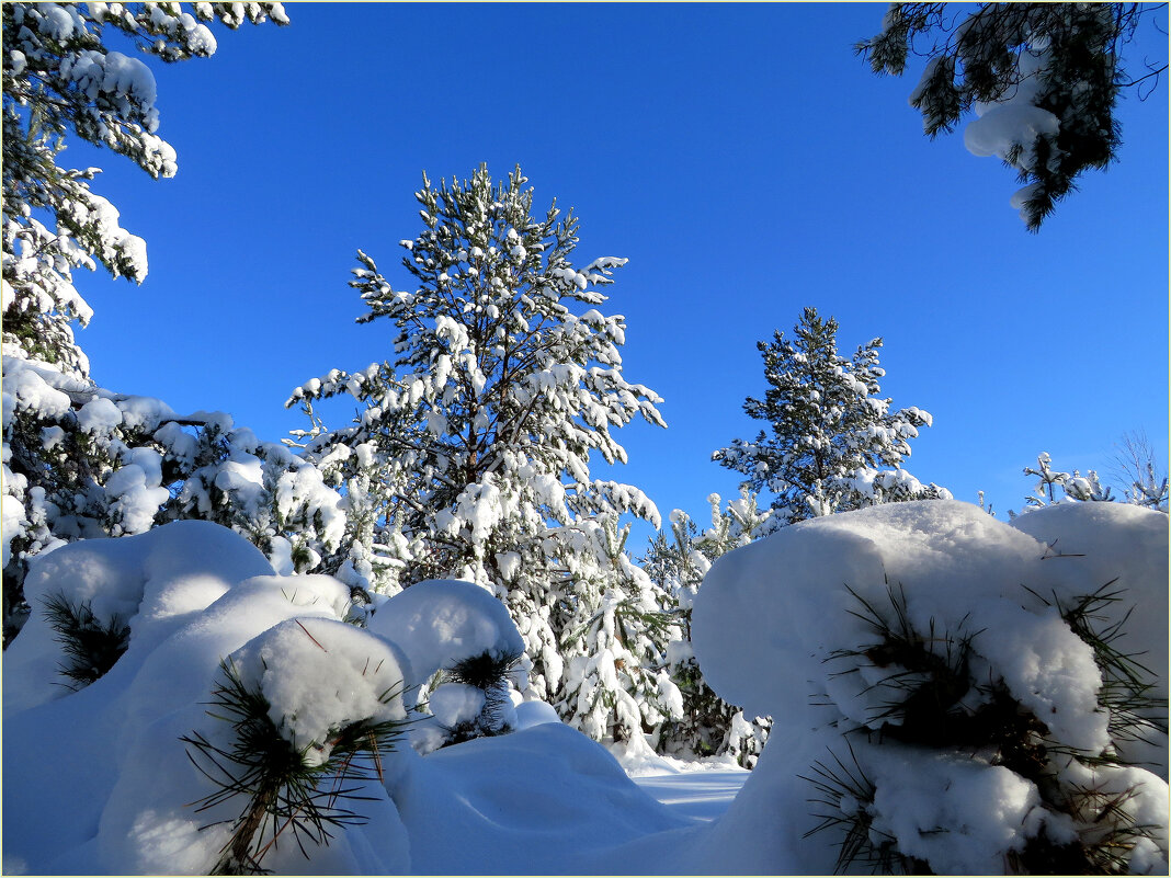 Снежный февраль - Leonid Rutov