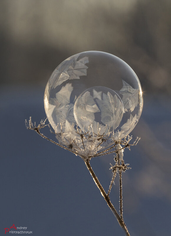Двойня - Андрей Пристяжнюк