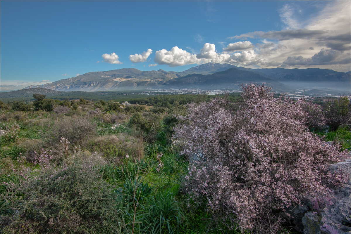 Турецкий пейзаж - **** vedin