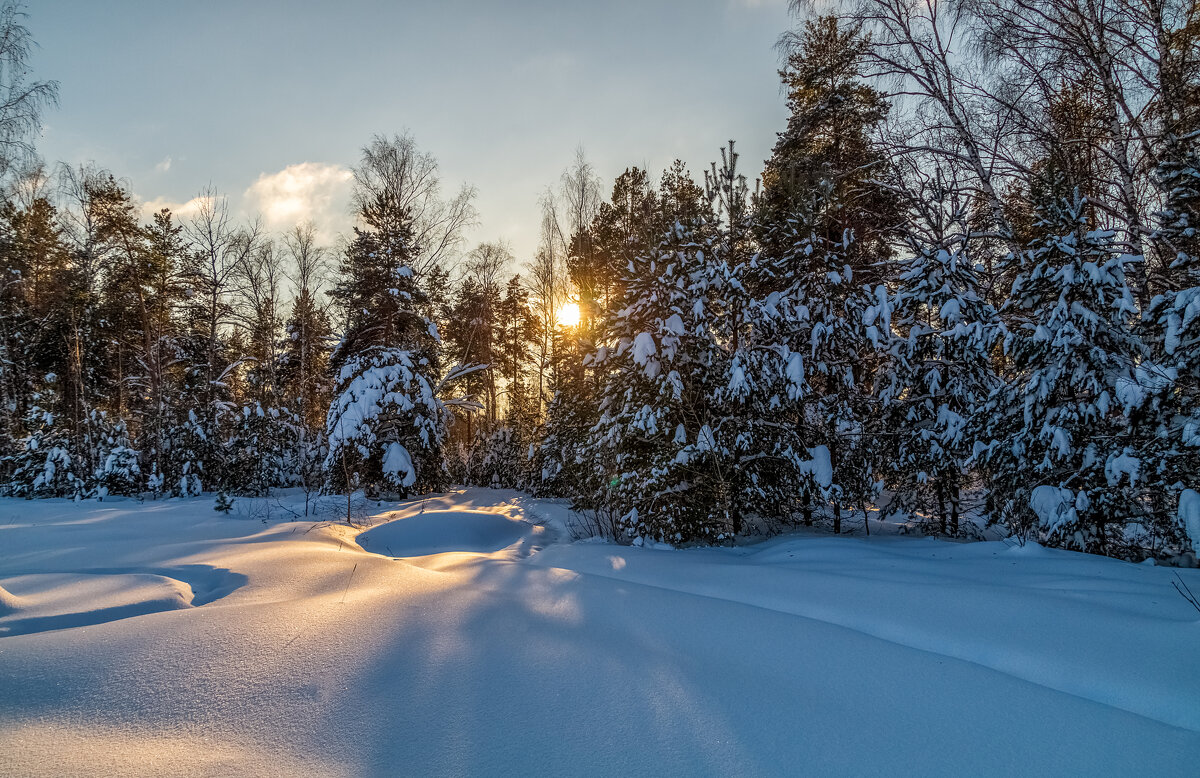 Январский вечер 7 - Андрей Дворников