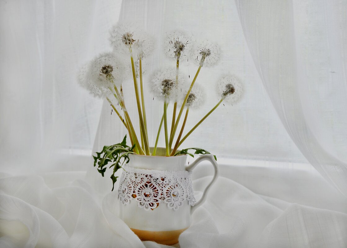 *** - Надежда Куркина 