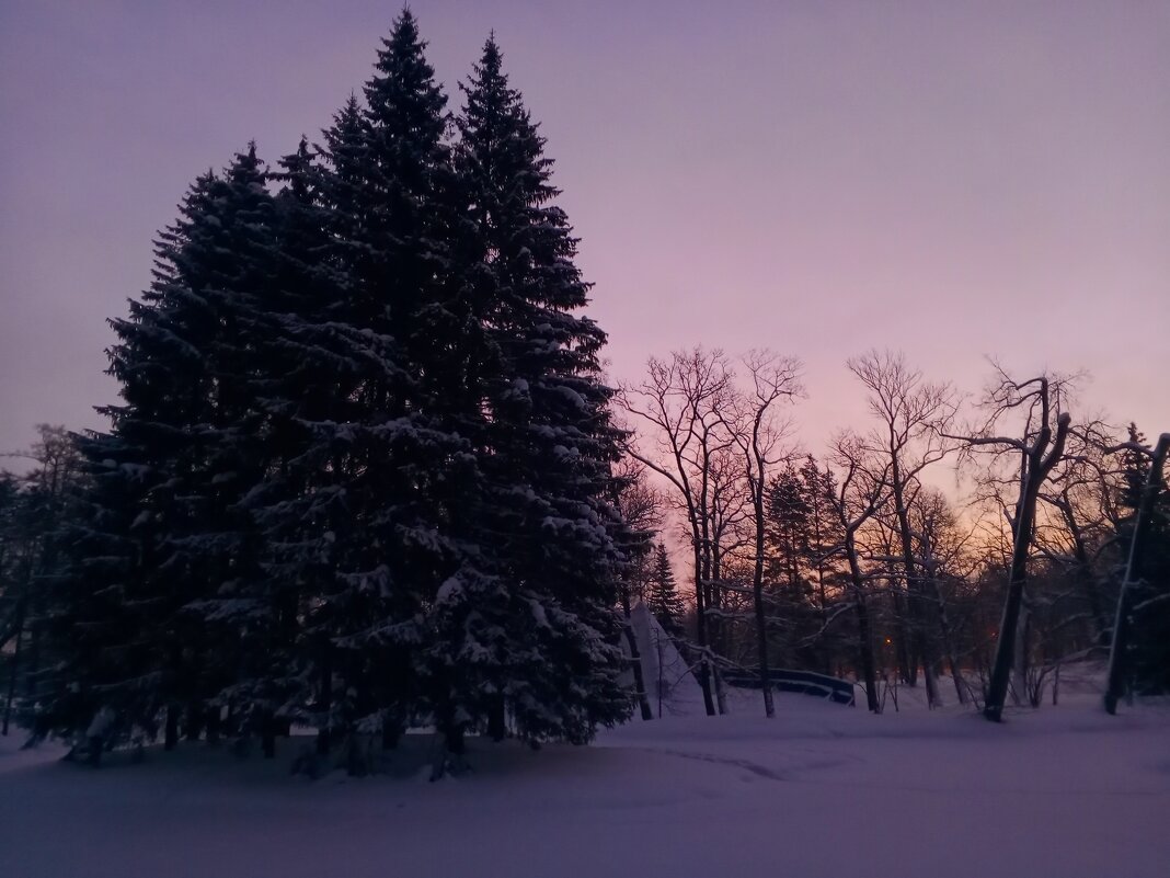 Рассвет - Сапсан 