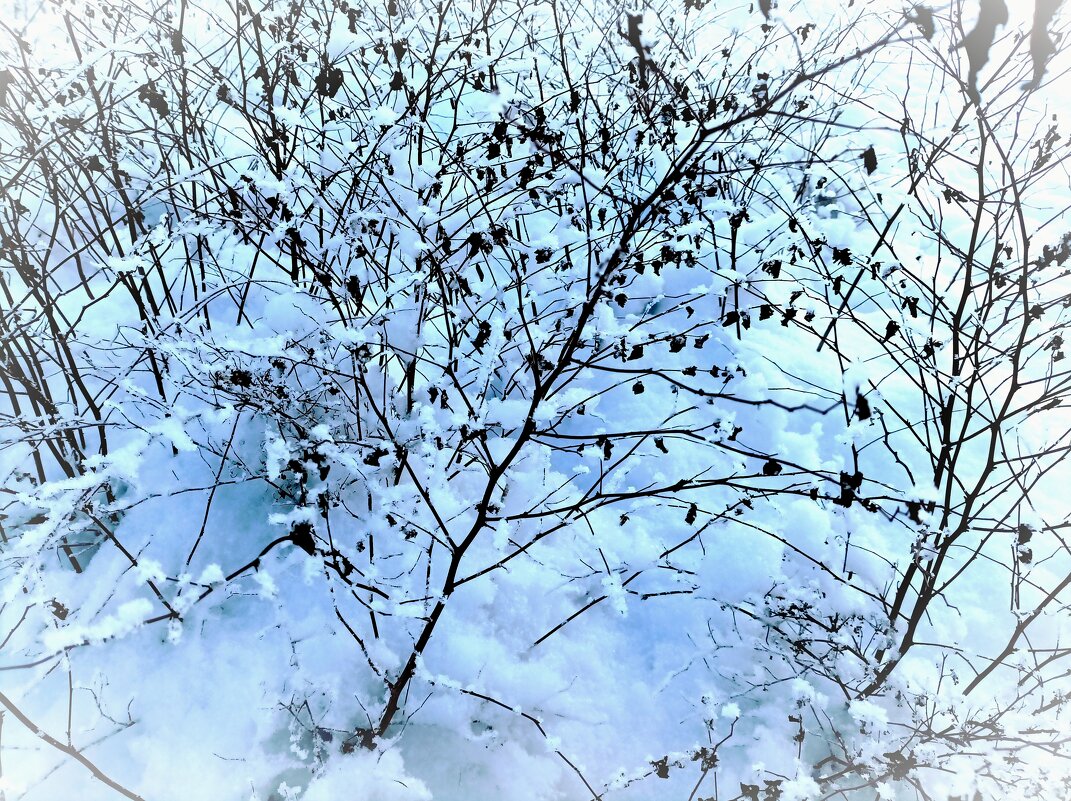 В парке Тондилоо - Veera V