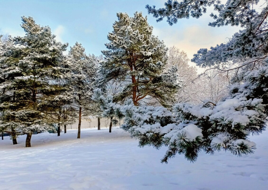 В парке Тондилоо - Veera V