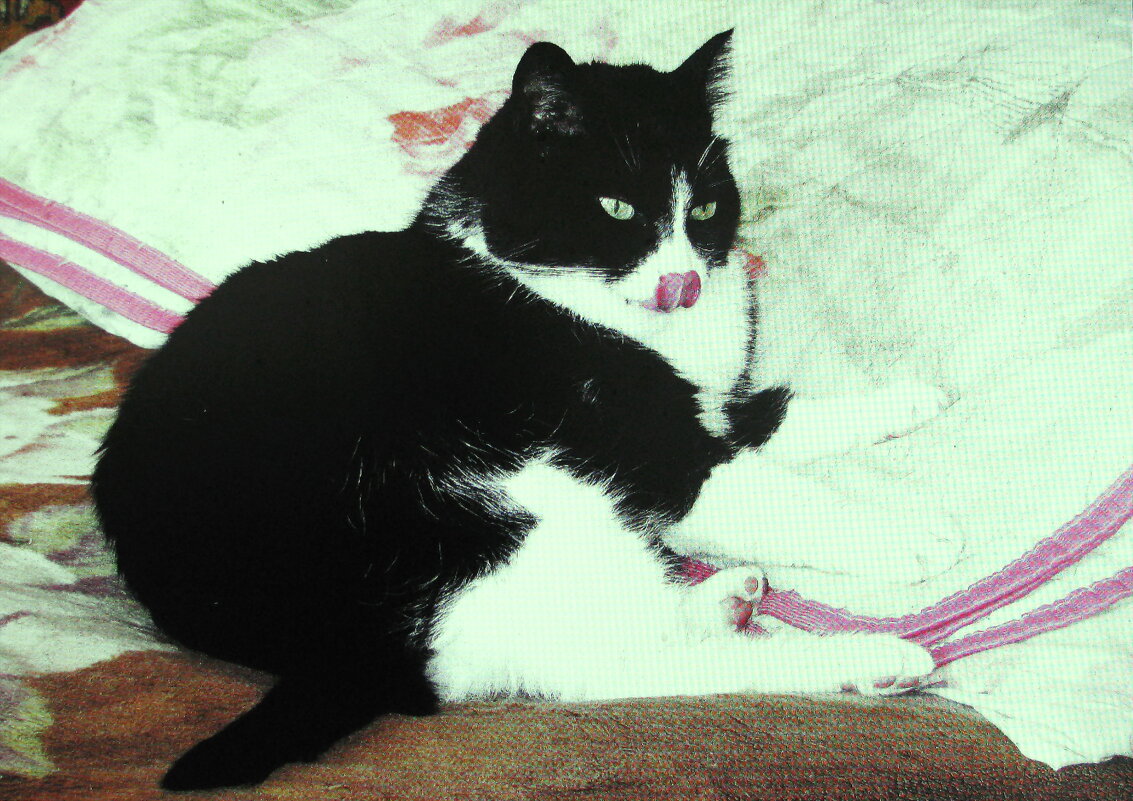 После обеда - Людмила Смородинская