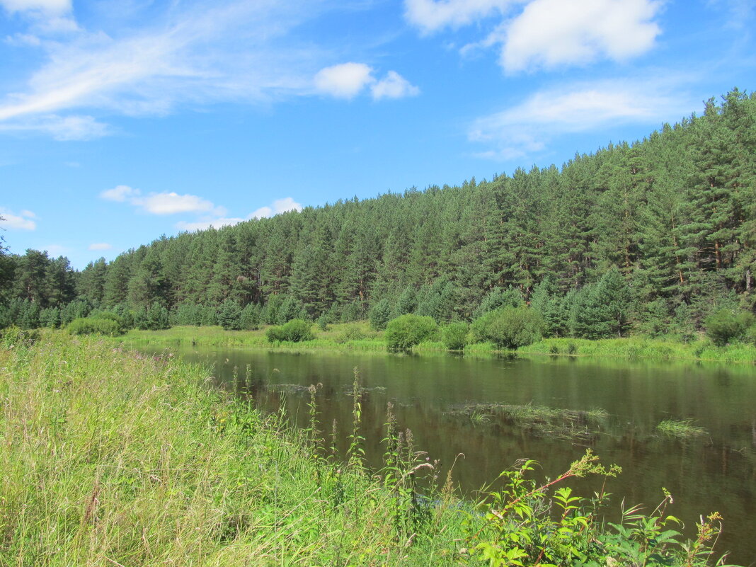 Урал - Елена Шаламова