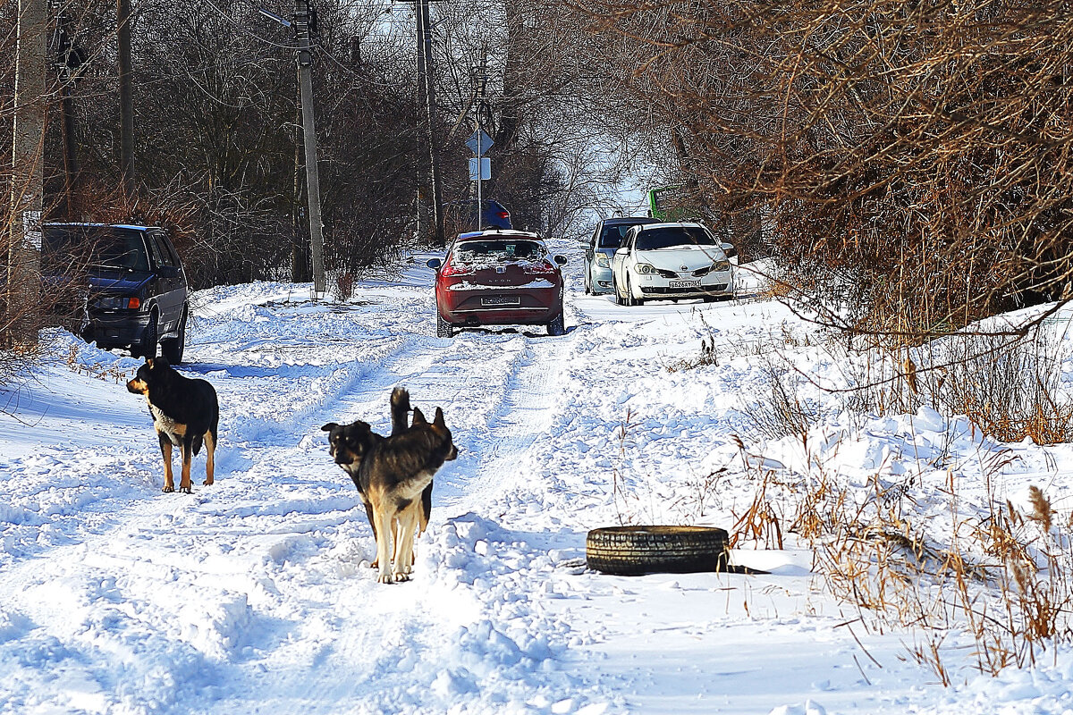 Друзья - Юрий Гайворонскiий