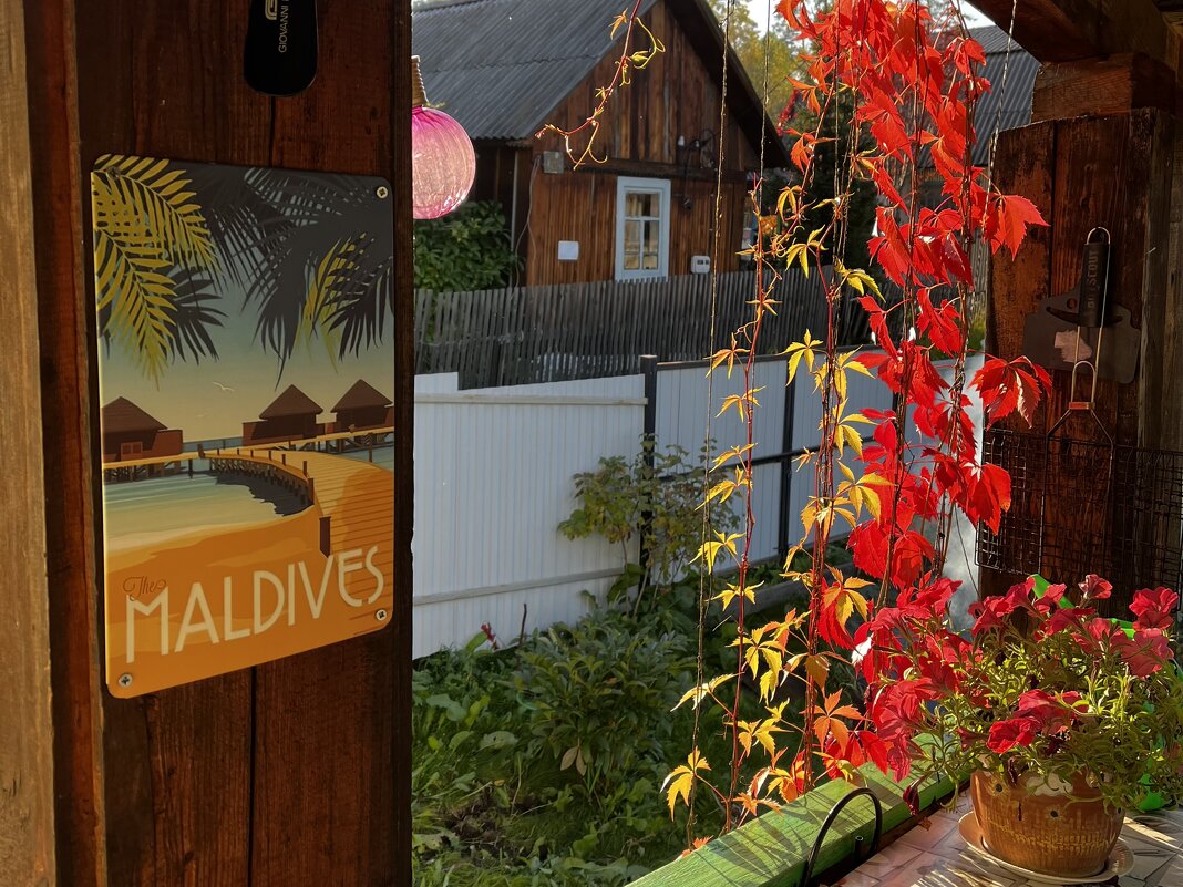 Дачные зарисовки - Светлана Грызлова