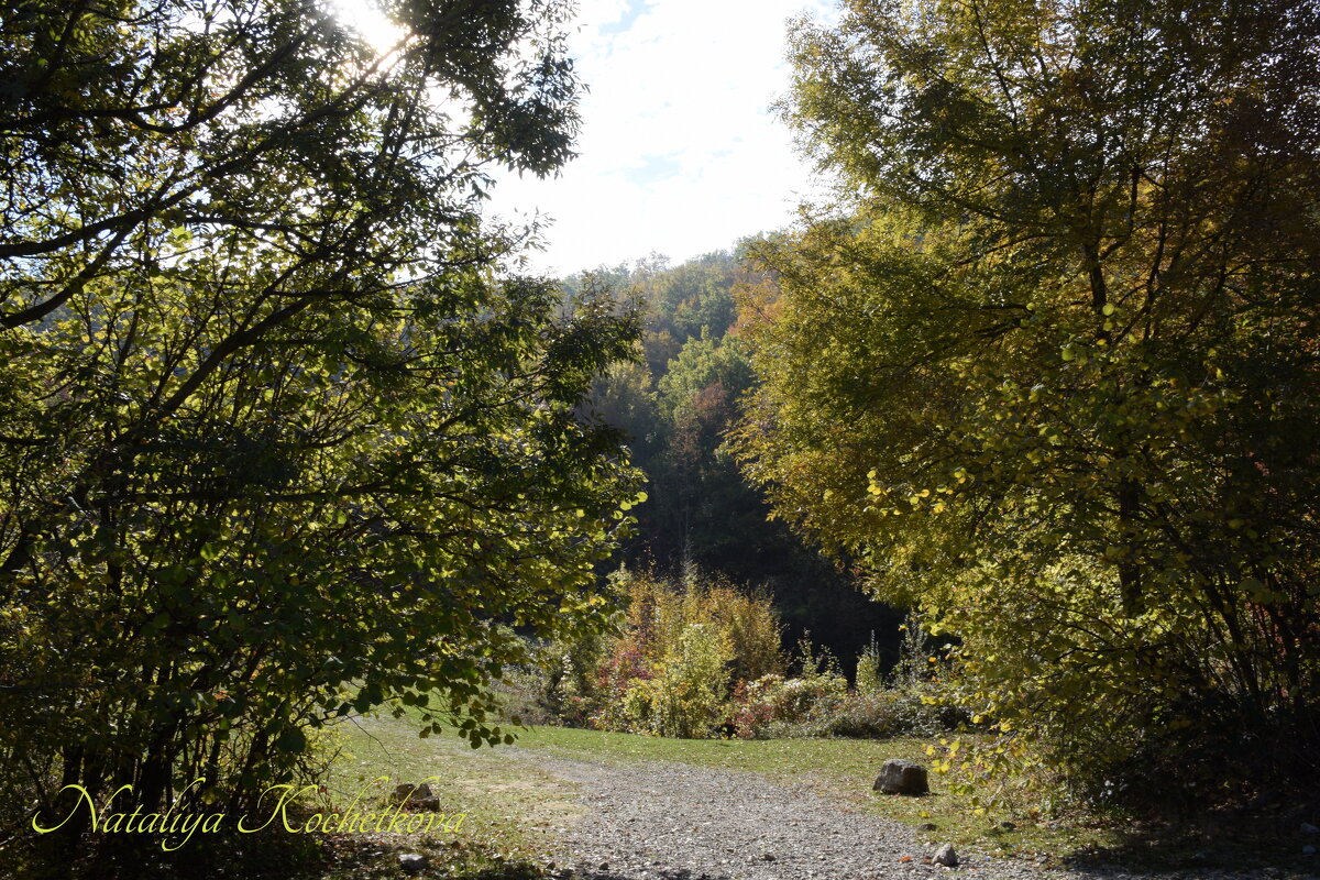 Природа Крыма - Amazing Cosmea