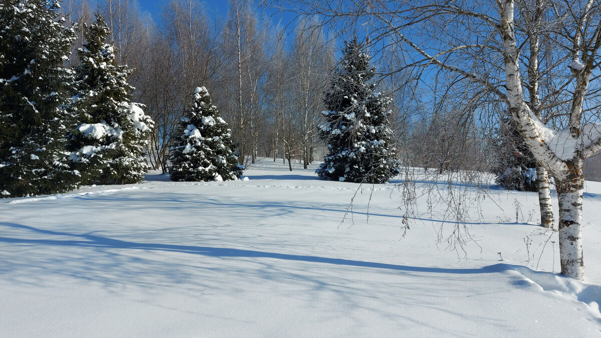 *** - Владимир Безбородов