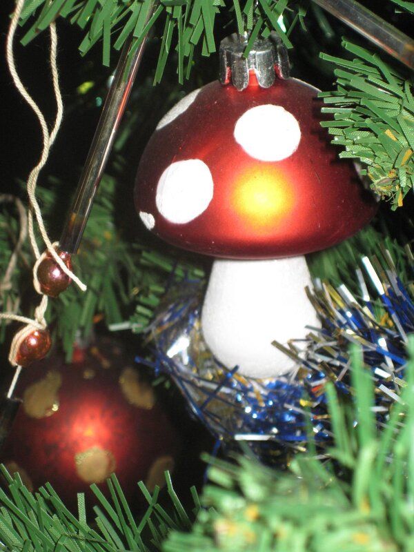 Мухомор на ёлке - Дмитрий Никитин