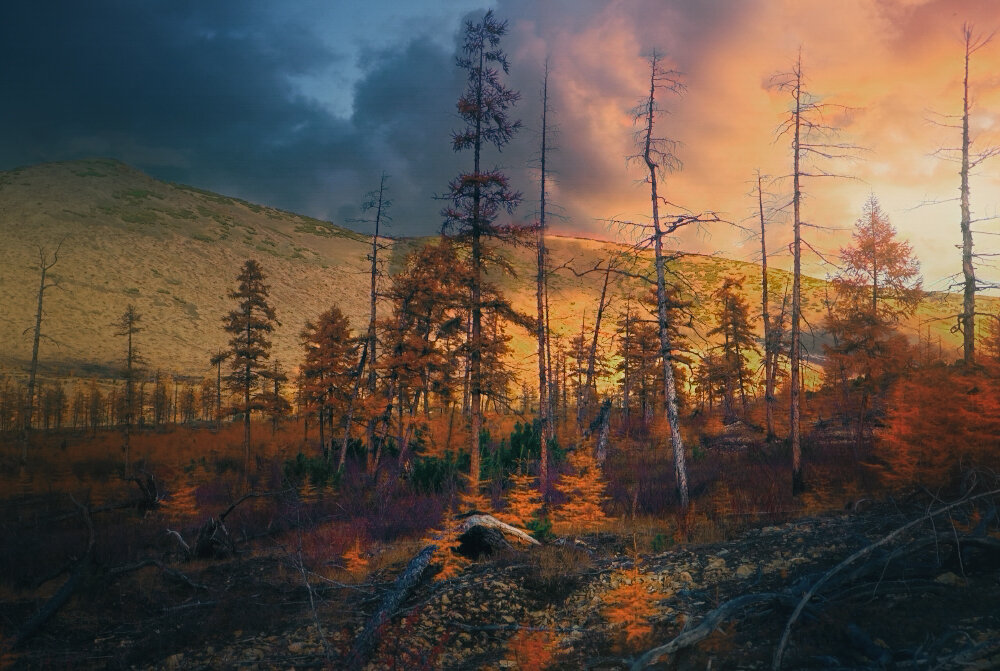 /// - Константин Есипов