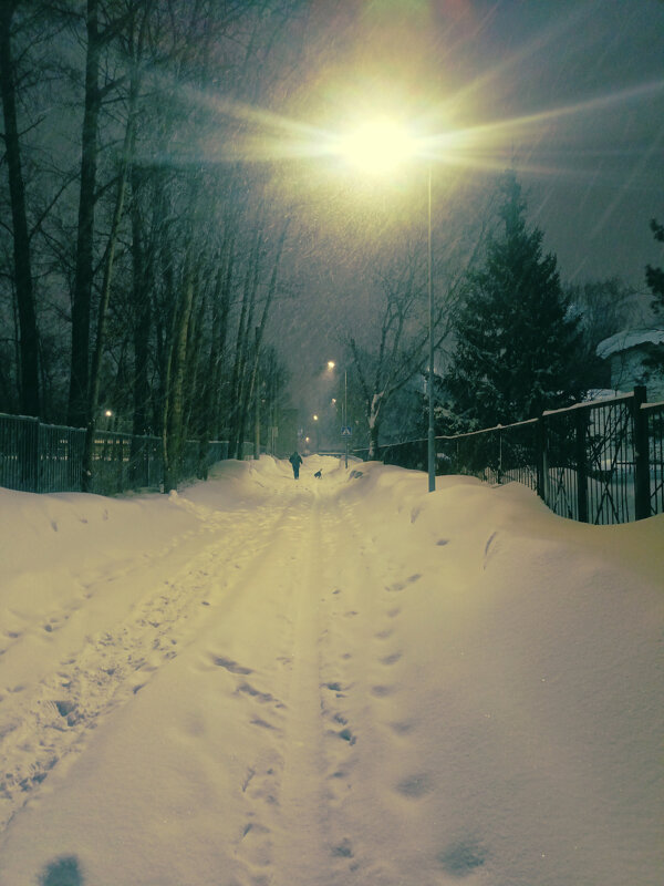 Зимний вечер - Дмитрий Шароватов