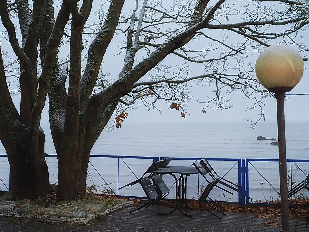 Всё замерло в долгом ожидании посетитлей... - Лилия *