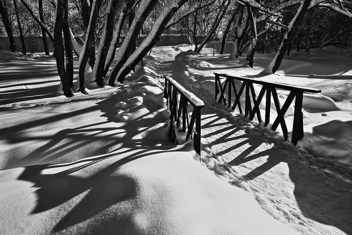 Светотеневая фотографика !!! - Николай Кондаков