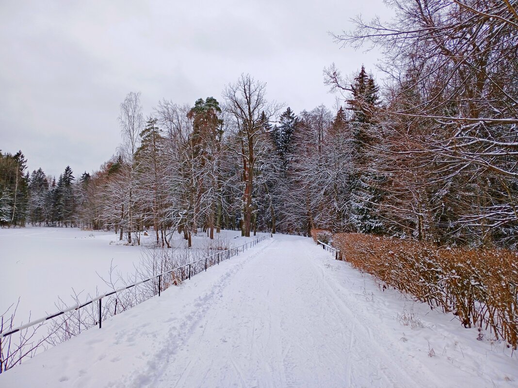 Зимняя прогулка - Лия ☼