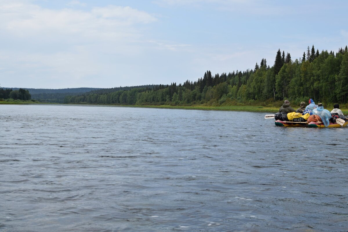 Дожди пошли. - ВикТор Быстров