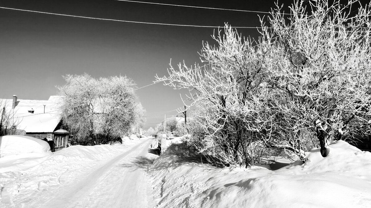«Серебряная вуаль зимы» - Арина Невская