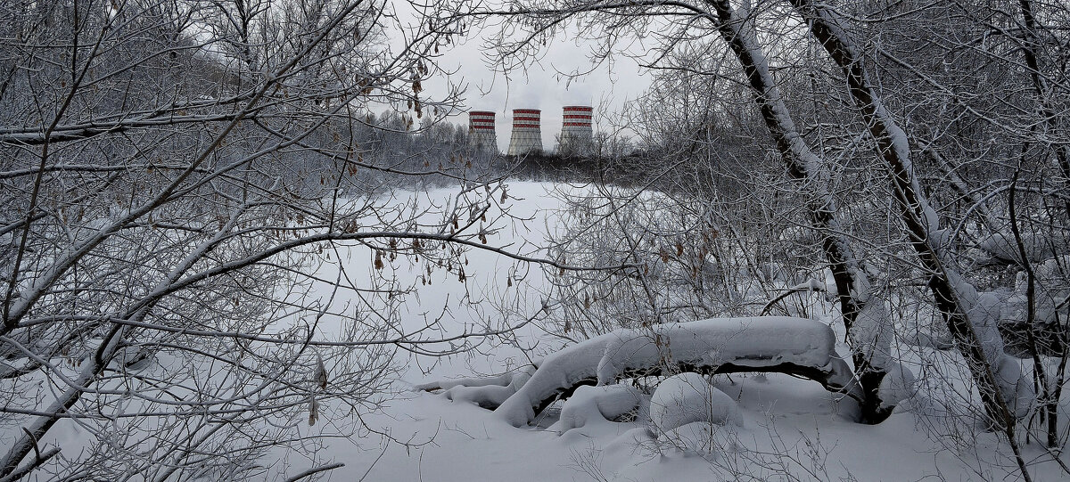 Зима - Радмир Арсеньев