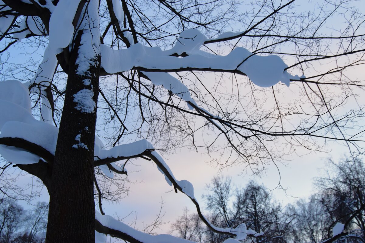 Красиво. - Наталья Вязигина