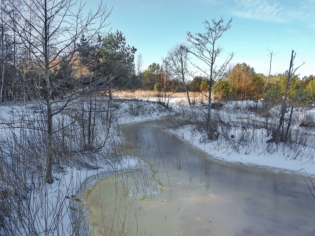 ***** - ИННА ПОРОХОВА