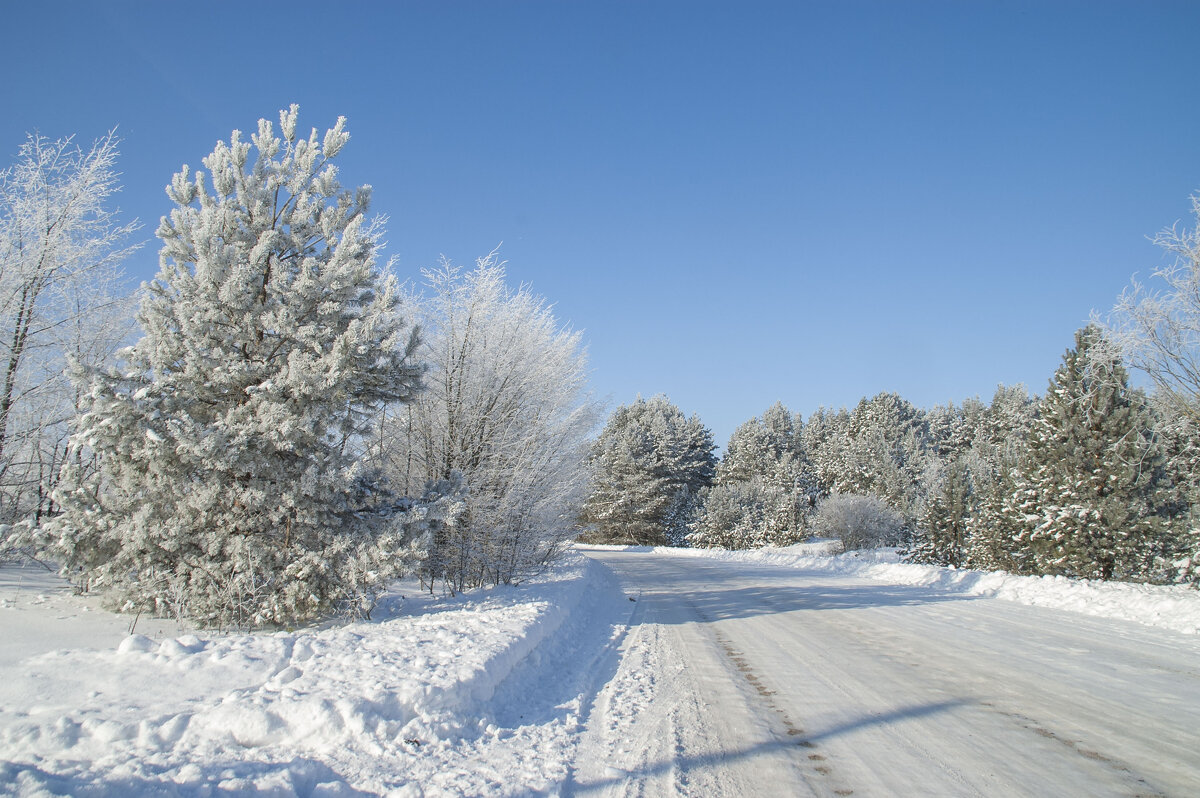 ... - Елена Пономарева