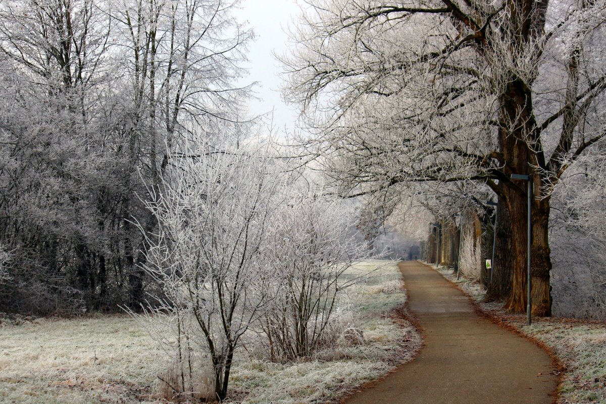 Морозный день - Юрий. Шмаков
