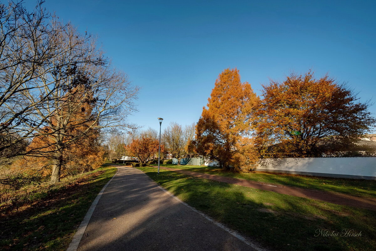 *** - Николай Гирш