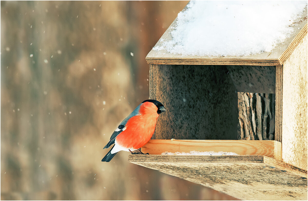 После сытного обеда - Валентин Котляров