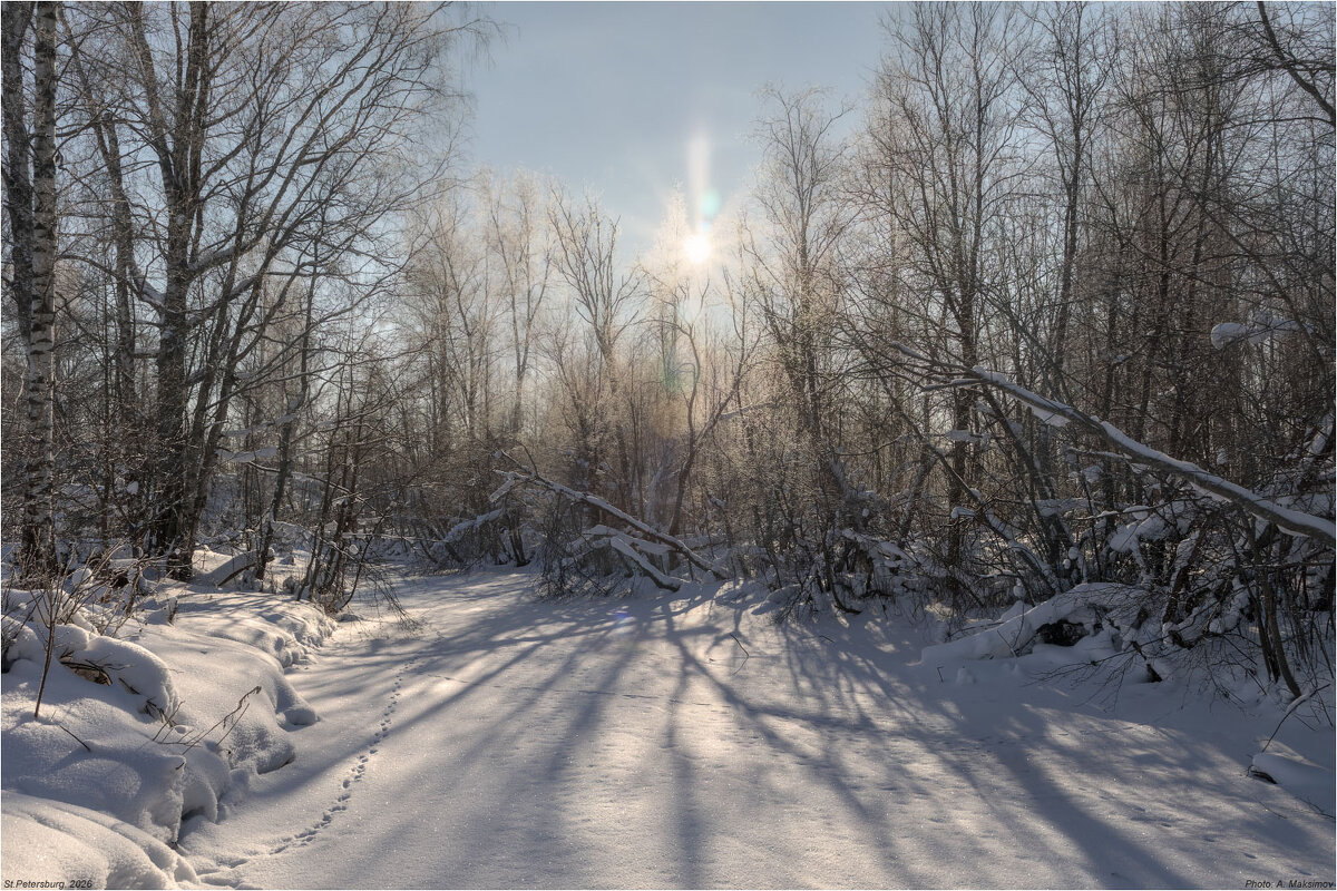 Зимний солнечный день. - Александр Максимов