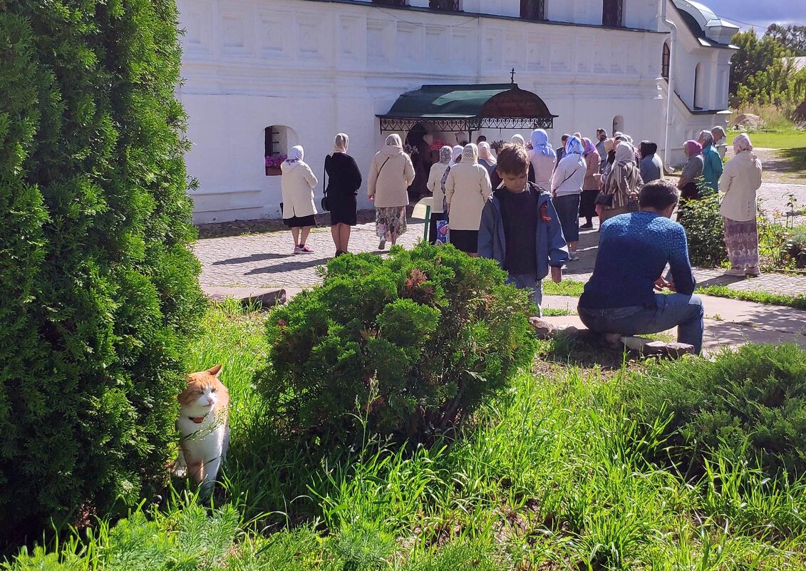 медовый Спас в монастыре - Любовь 