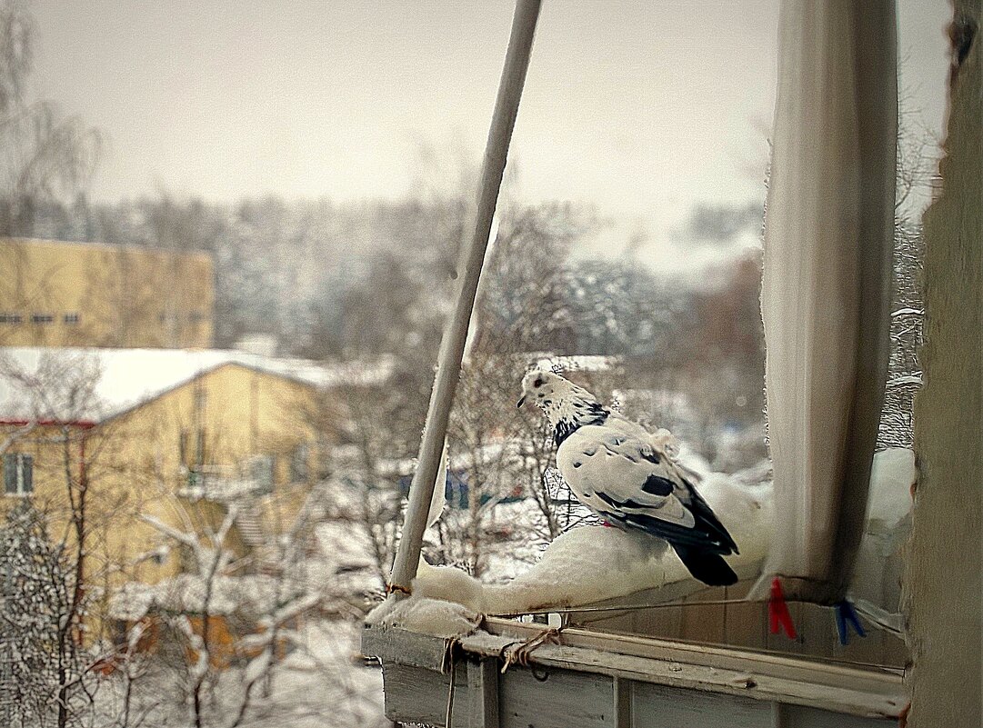 погреться... - Любовь 