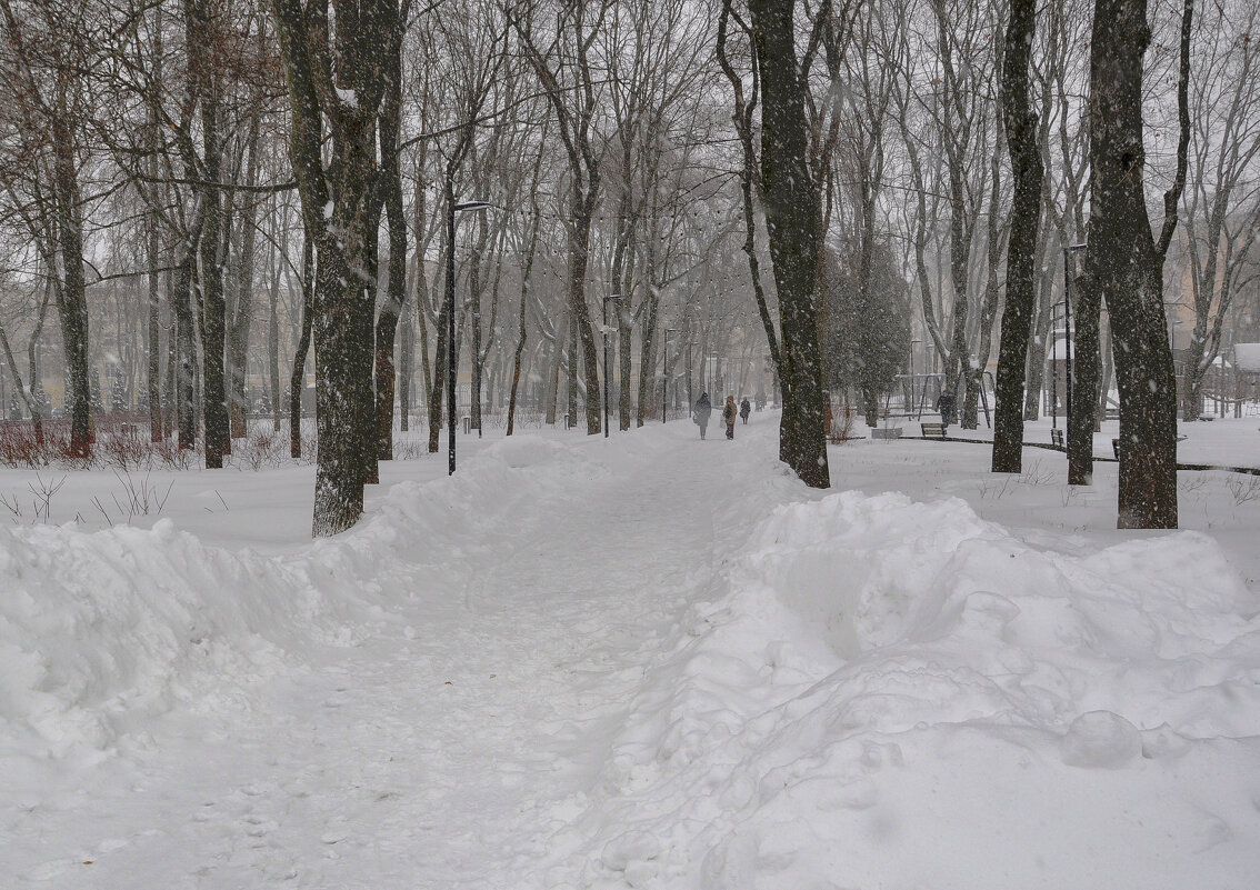 Парк, снегопад - Татьяна Машошина Парк, снегопад - Татьяна Машошина