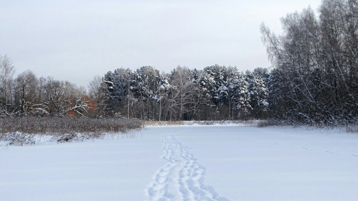 Зимний пейзаж - Милешкин Владимир Алексеевич 