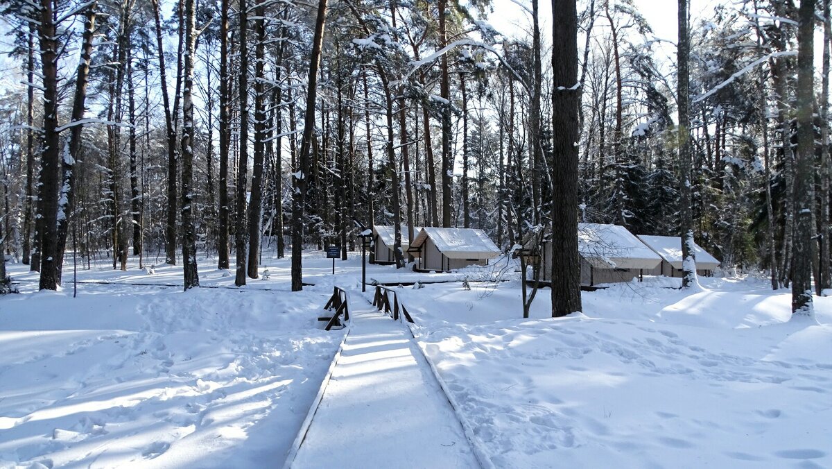 Гнёздовский археологический комплекс. - Милешкин Владимир Алексеевич 