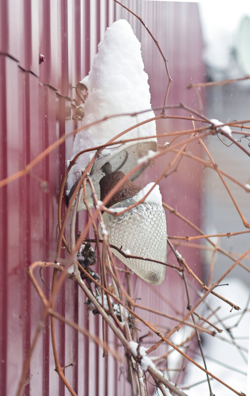 . - Константин Сафронов