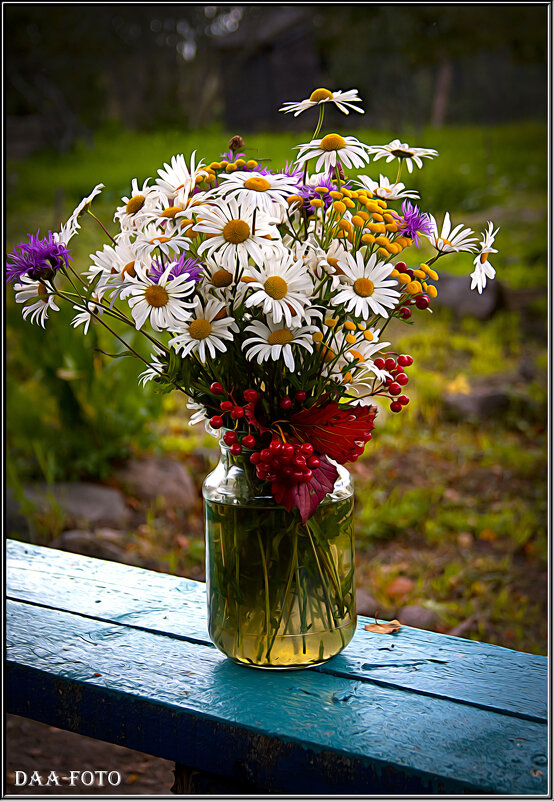 "ТЕПЛЫЙ ПРИВЕТ ИЗ ХМУРОЙ ОСЕНИ," - Александр Дмитриев